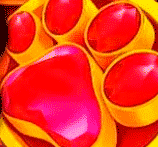 Бонусные фриспины The Dog House с множителями