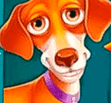 Высокий RTP слота The Dog House 96.51 процентов