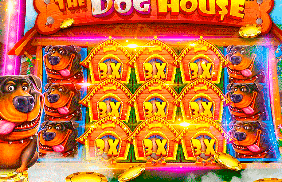 Регистрация в The Dog House бонус за регистрацию